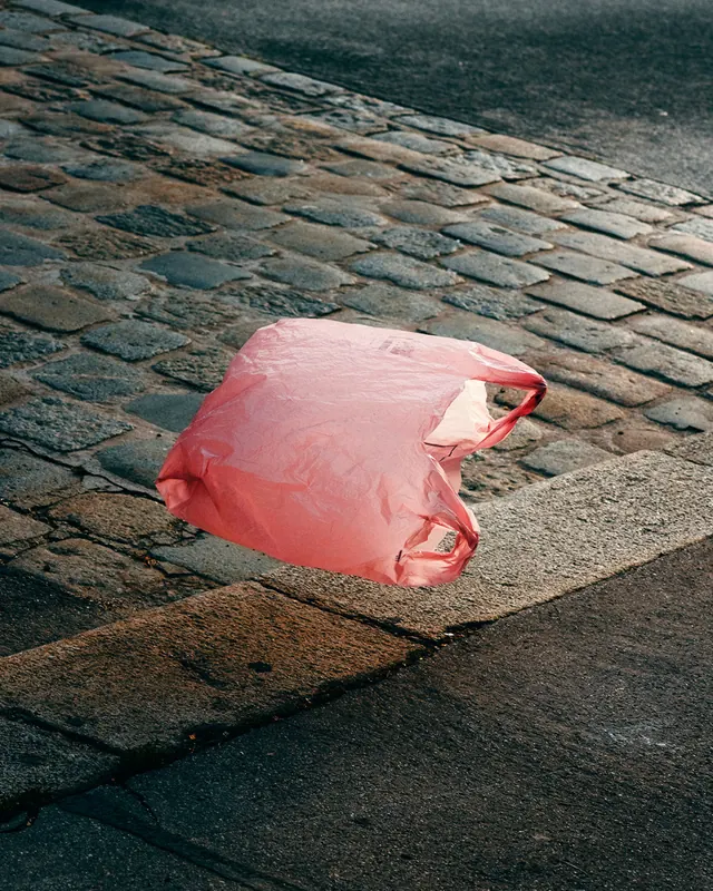 Pink Plastic Bag on Cobblestone, photographic, organic, vibrant