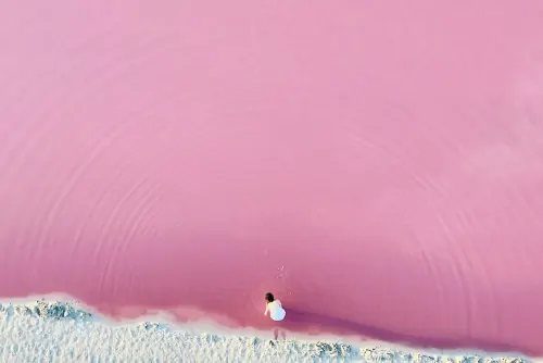 Pink Water Ripple with Bubble, minimal, organic, pastel