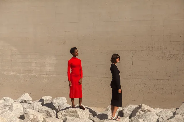 Two Women in Contrasting Dresses, minimal, photographic, muted