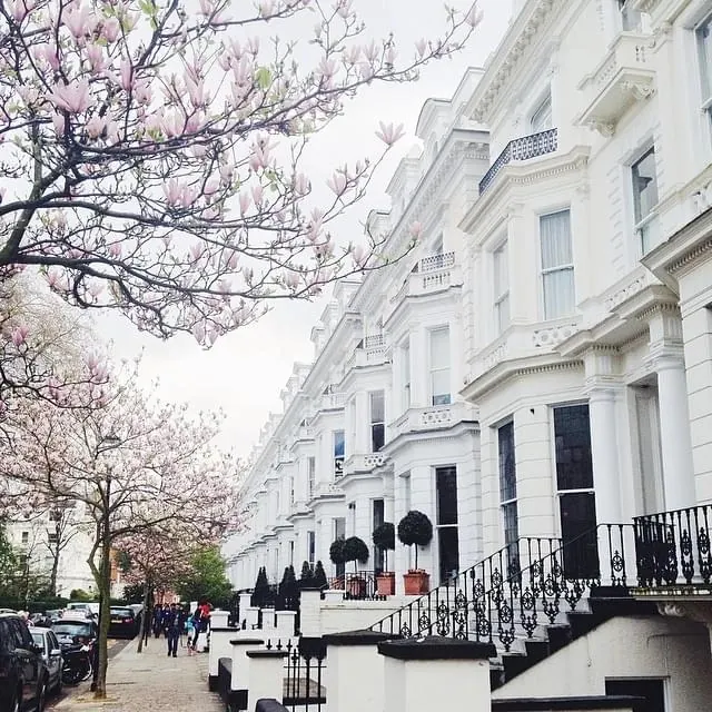 European Architecture with Cherry Blossoms, photographic, luxury, light