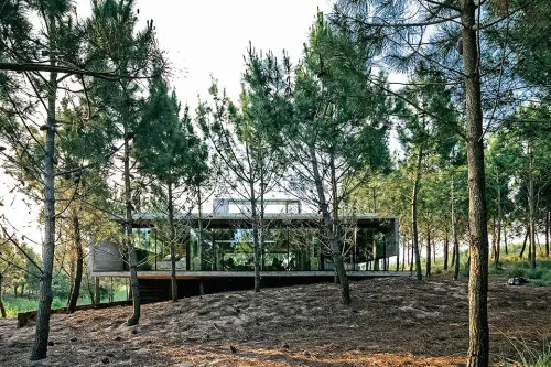 Modernist Glass Pavilion in Forest, minimal, photographic, earthy