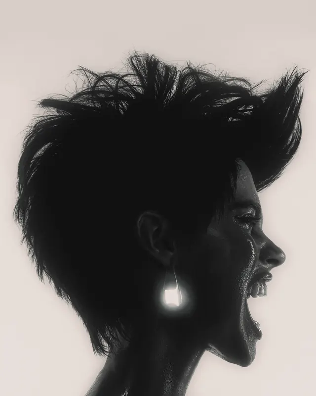 High-Contrast Silhouette Portrait, minimal, monochrome, monochrome