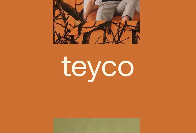 Teyco Wordmark Design, minimal, photographic, vibrant