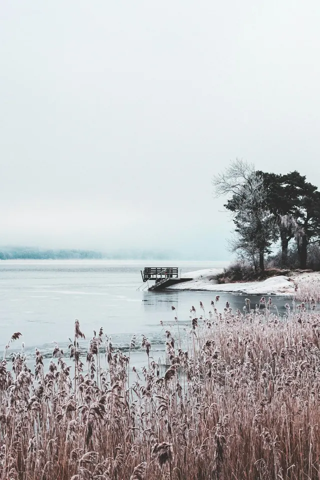 Winter Lake Landscape, minimal, photographic, muted