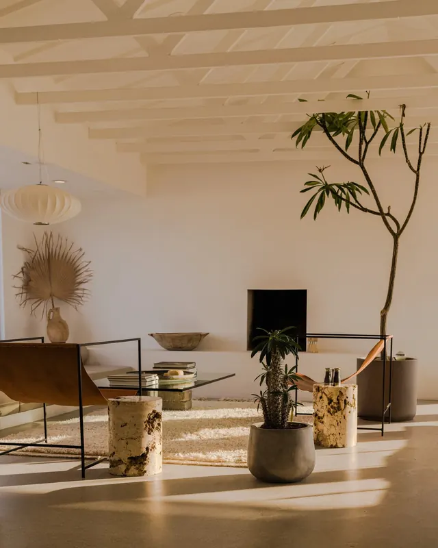Minimalist Interior Design with Natural Elements, minimal, organic, warm
