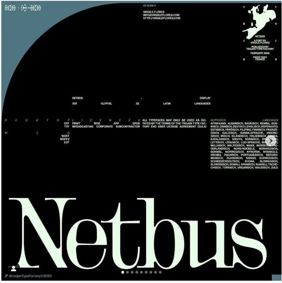 Netbus Identity System, swiss, minimal, high-contrast
