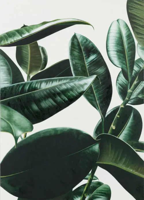 Tropical Leaf Illustration, organic, flat, dark