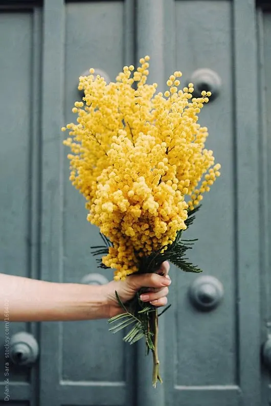 Handheld Yellow Flower Bouquet, organic, photographic, vibrant