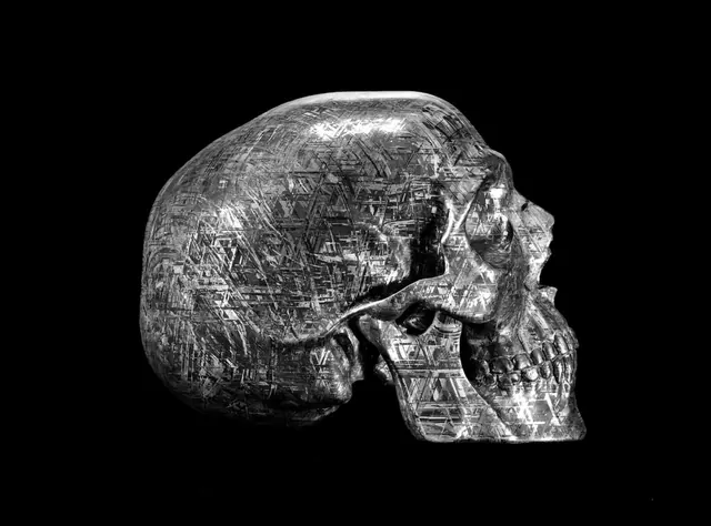 Etched Skull 3D Render, monochrome, technical, monochrome