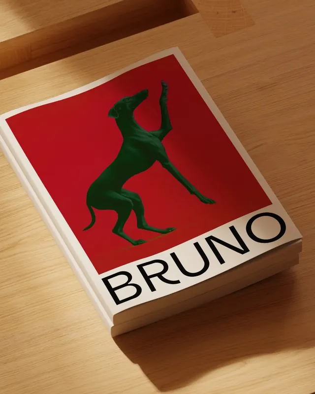 Bruno Brand Identity Mockup, minimal, boxed, high-contrast