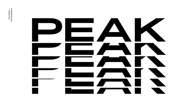 PEAK Wordmark Identity System, minimal, swiss, high-contrast