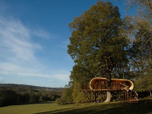 Treehouse Architecture in Nature, photographic, organic, earthy