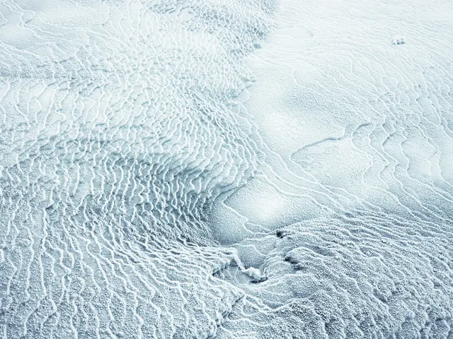 Textured White Surface, organic, abstract, light