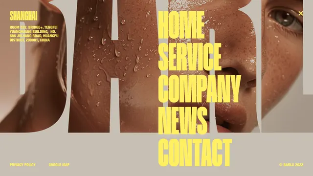 Editorial Typography and Photography Layout, editorial, maximalist, high-contrast