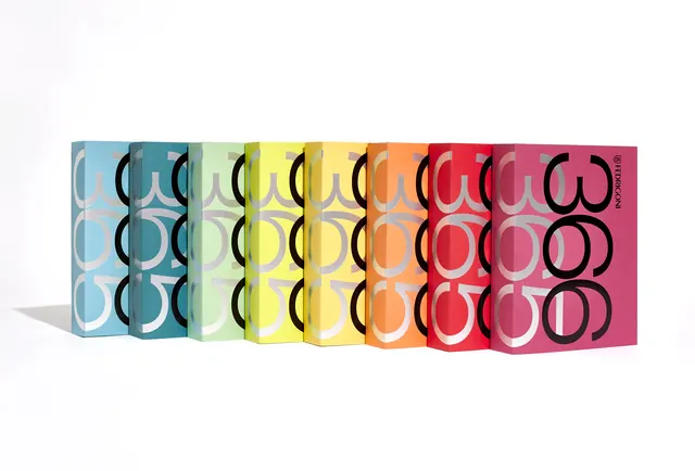 Colorful Wordmark Variations, minimal, boxed, vibrant