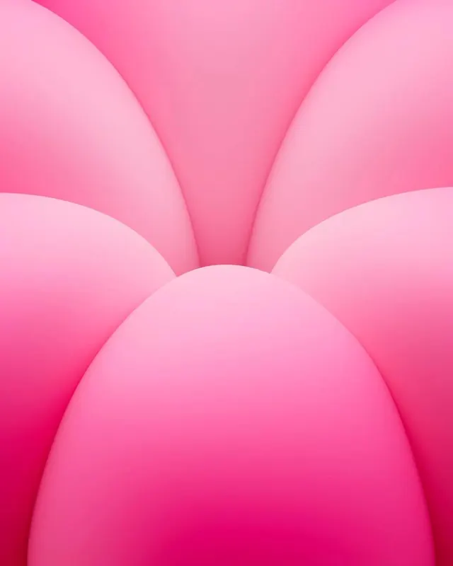 Pink Abstract Petal Composition, minimal, organic, vibrant