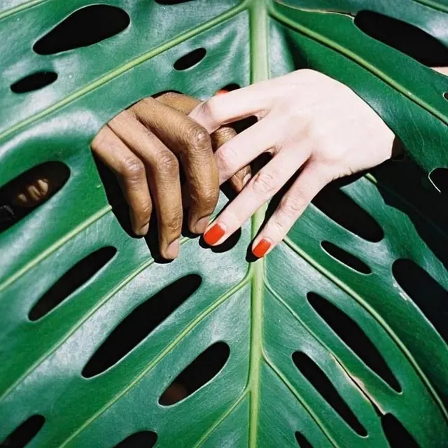 Collage of Hands and Monstera Leaf, organic, photographic, vibrant
