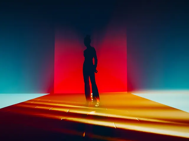 Silhouette in Red and Gold Light, minimal, photographic, dark