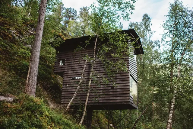 Wooden Cabin in Forest, photographic, organic, dark