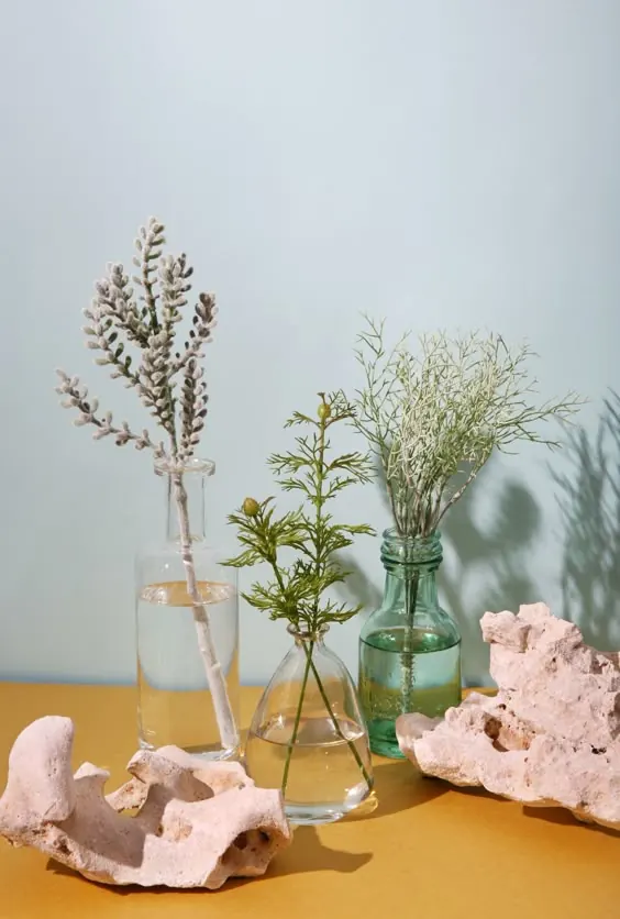 Floral Still Life with Coral, minimal, organic, muted