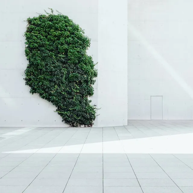 Vertical Living Wall in Minimalist Interior, minimal, organic, light