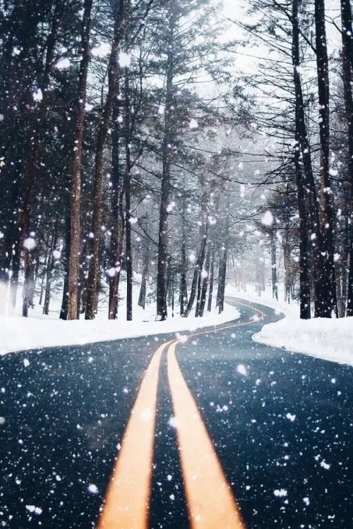 Snowy Forest Road, photographic, organic, cool