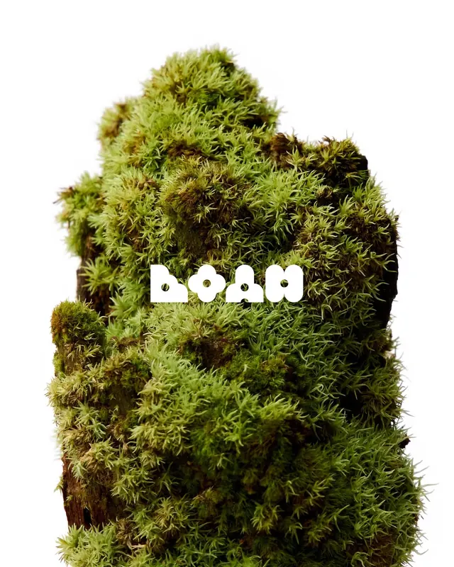 Mossy Wordmark Design, organic, photographic, earthy