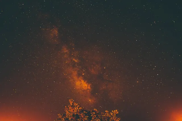Milky Way Night Sky over Trees, photographic, organic, dark