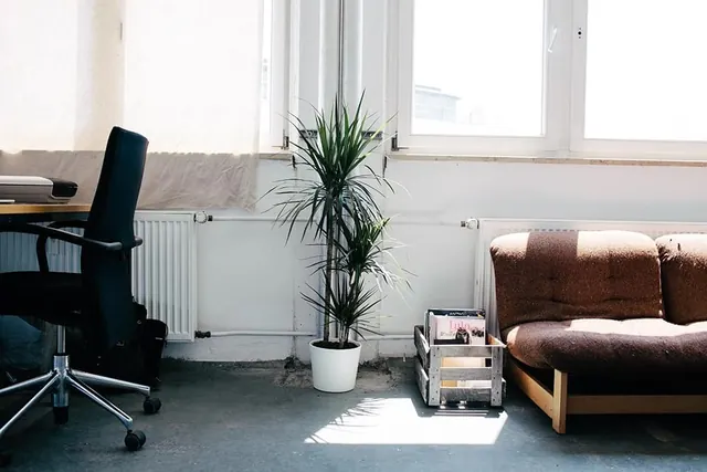 Modern Office Interior with Potted Plant, minimal, photographic, light