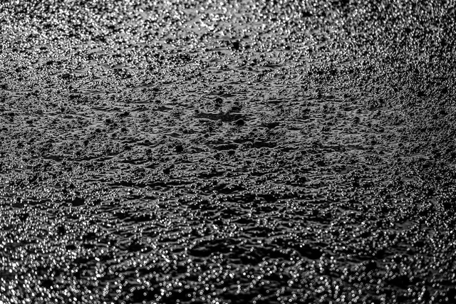 Monochrome Textured Surface, monochrome, abstract, monochrome