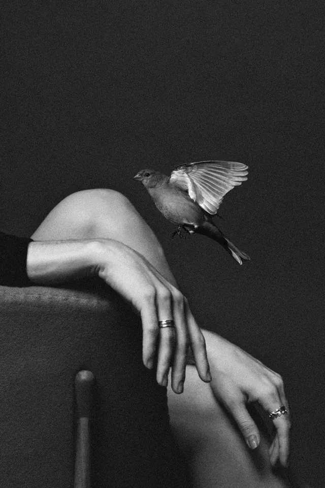 Monochrome Portrait of a Woman with Butterfly, minimal, monochrome, monochrome