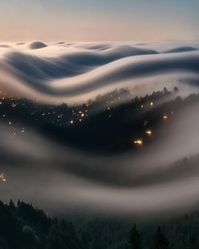 Foggy Forest Nightscape, photographic, organic, dark