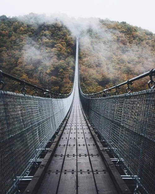Suspension Bridge in Mist, photographic, minimal, muted