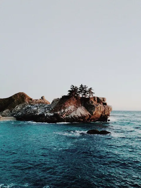 Coastal Rock Formation with Pine Trees, photographic, organic, cool