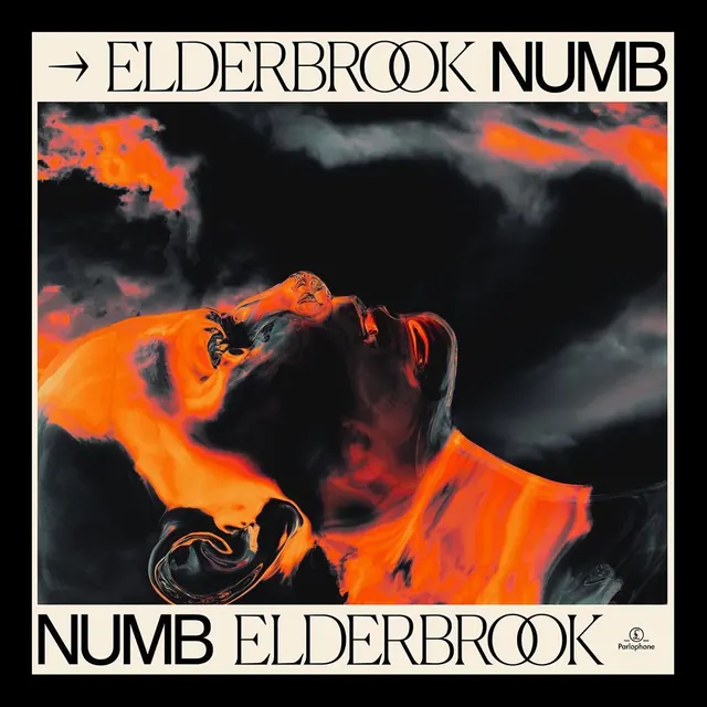 Elderbrook Numb Album Art, abstract, maximalist, dark