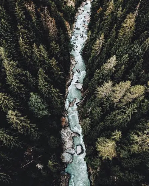 Aerial View of a Forest River, photographic, organic, earthy