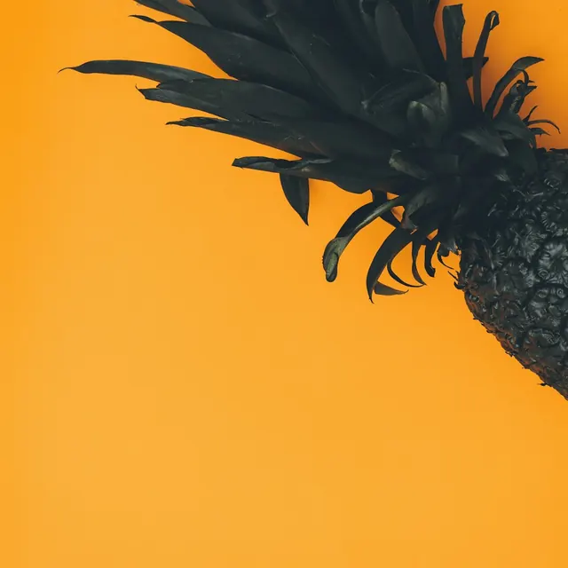 Pineapple Silhouette on Orange Background, minimal, photographic, vibrant