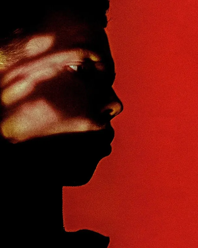 High-Contrast Portrait with Shadow Play, photographic, minimal, vibrant