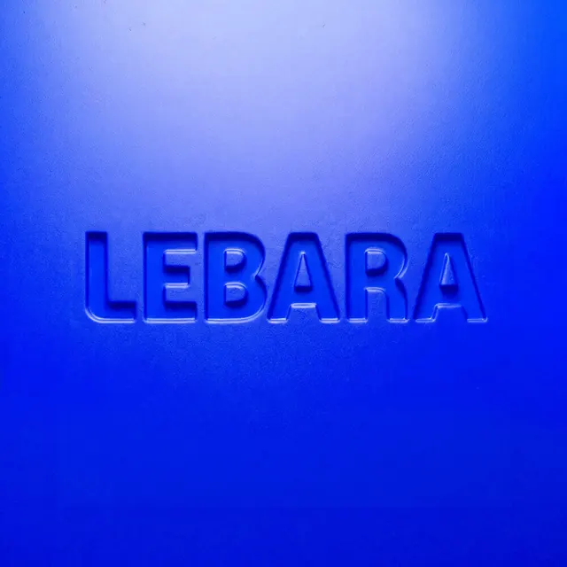 Lebara Wordmark on Blue Background, minimal, corporate-clean, vibrant