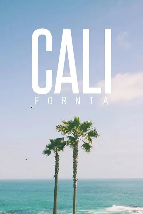 Cali Fornia Beach Branding, minimal, light-mode, light