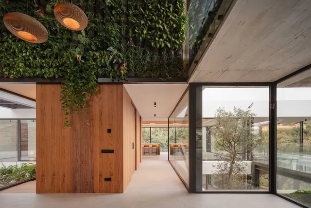 Modern Architectural Interior with Living Wall, minimal, organic, warm