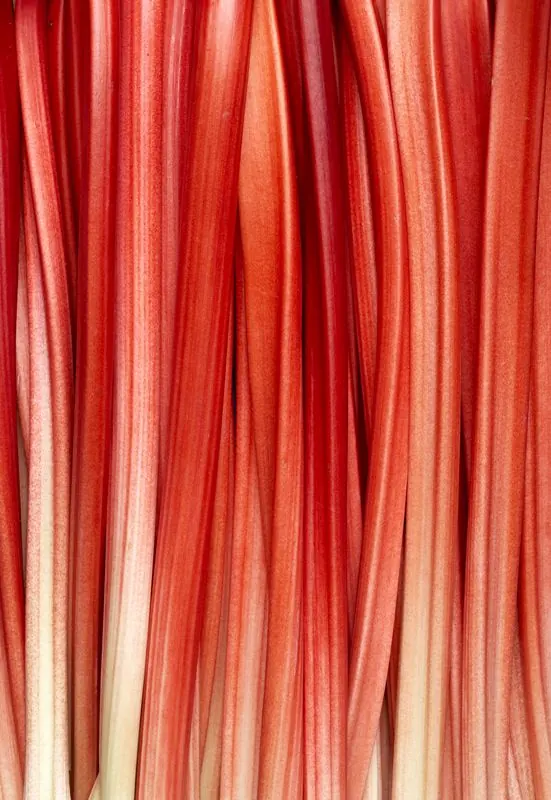 Red Vertical Texture, organic, abstract, vibrant