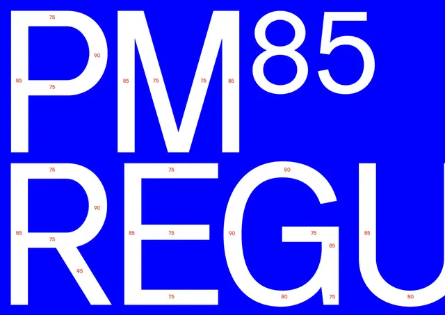PM85 REGU Typography Study, minimal, swiss, high-contrast