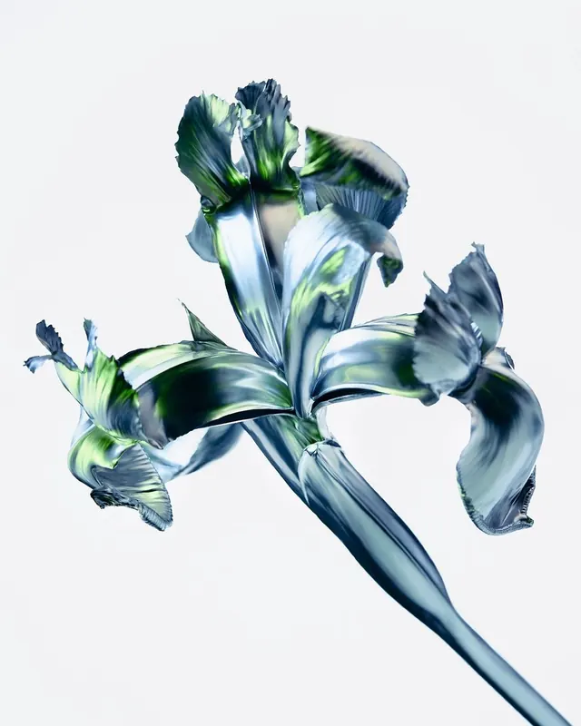 Abstract Glassy Flower, glassmorphism, abstract, cool