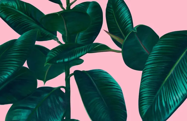 Tropical Leaf Illustration, flat, minimal, vibrant