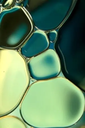 Abstract Fluid Bubbles, organic, gradient-heavy, vibrant