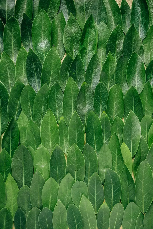 Green Leaf Pattern, organic, flat, vibrant