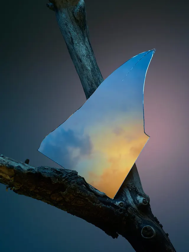Abstract Glass Shape on Branch, glassmorphism, organic, high-contrast