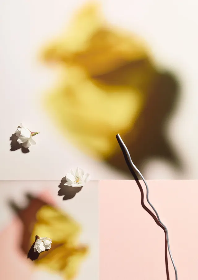 Abstract Organic Composition, minimal, organic, muted