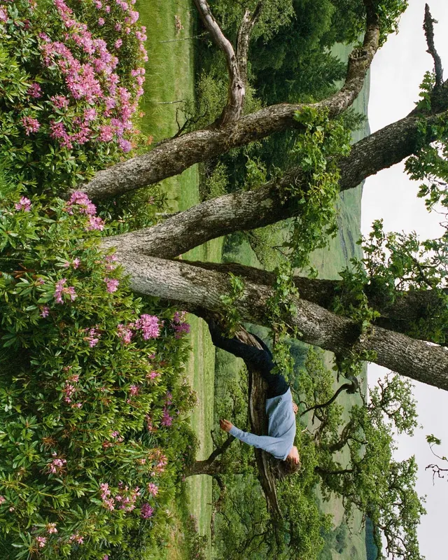 Garden Landscape with Tree and Figure, photographic, organic, vibrant